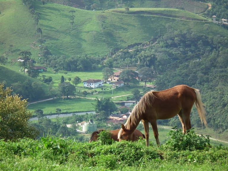 Vale verde com casas e pasto na Serra da Mantiqueira, em Visconde de Mauá