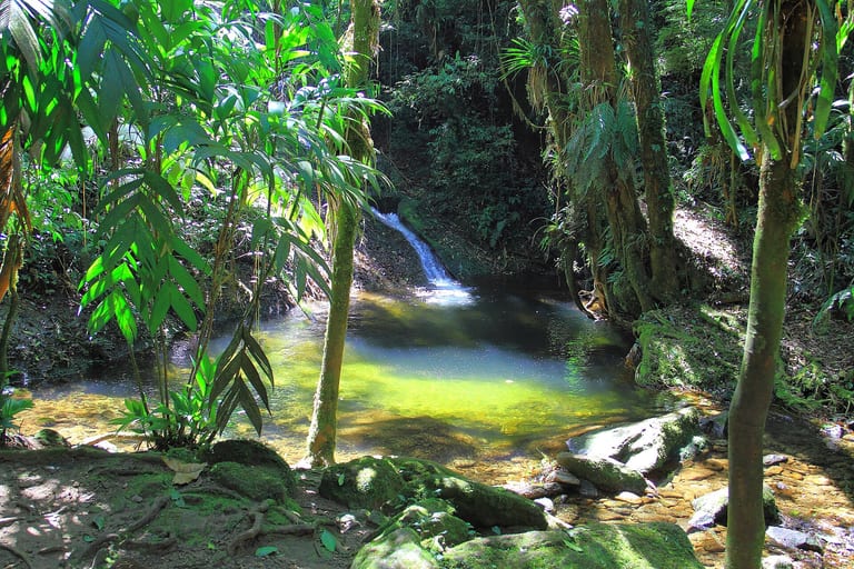 Queda d'água e poço verde entre bambus e mata no Vale do Alcantilado, em Bocaina de Minas, Visconde de Mauá